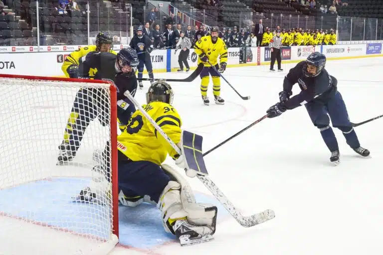 AL: Pikkuleijonan hetki koittaa – NHL:n varaustilaisuus nurkan takana
