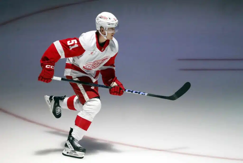 Leijoniin liittyy uusi kasvo