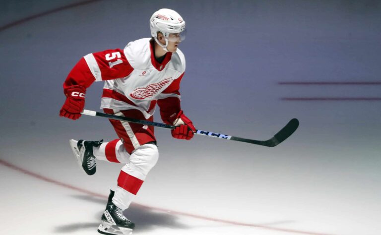 Leijoniin liittyy uusi kasvo