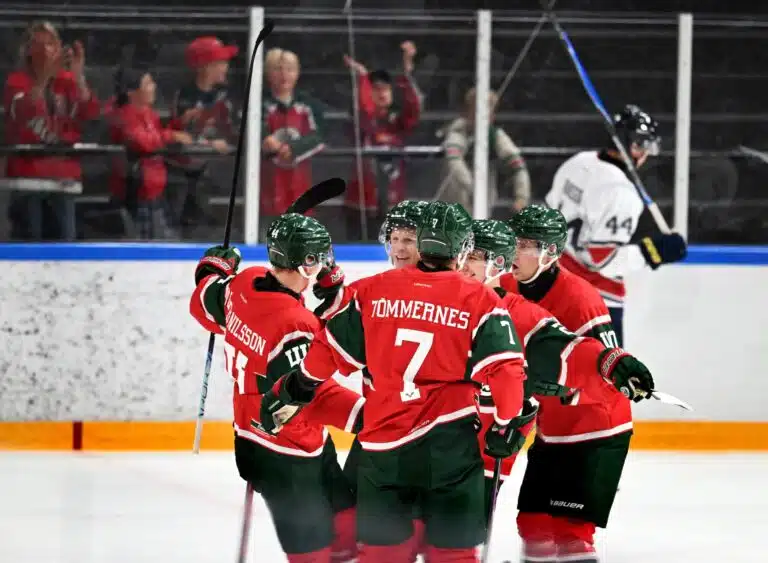 Leijonien tehomies häipyy – Ruotsissa välitön reaktio