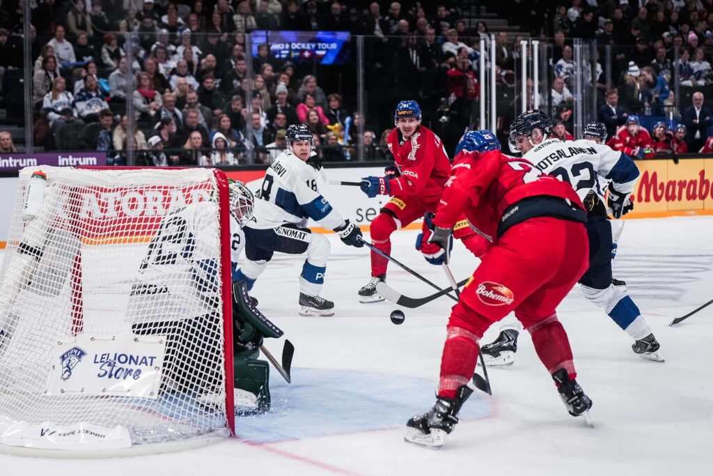 Leijonat pesi kasvojaan – Tshekki nurin