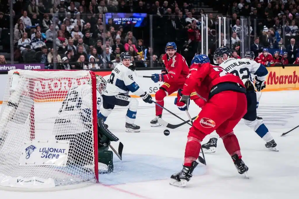 Leijonat pesi kasvojaan – Tshekki nurin