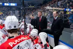 Entinen Leijona avasi suunsa – nyt haetaan uutta suuntaa