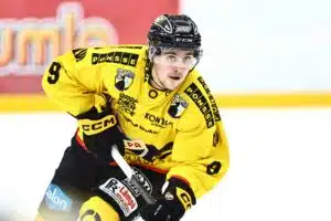 Kultajoukkueelle valtava menetys – Leijonan kausi päättyi ennen aikojaan