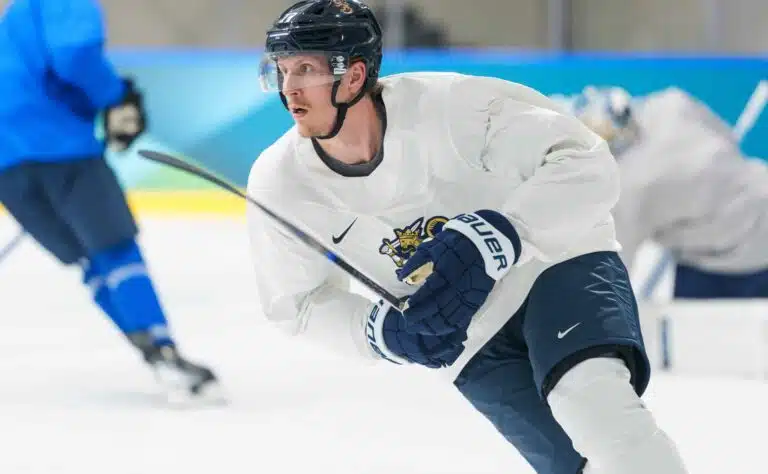 Niskalenkki katsomossa – tätä mieltä oli Leijona-puolustaja