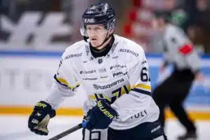 Leijona-pakki menetti hermonsa kohtalokkaasti – oliko se siinä?