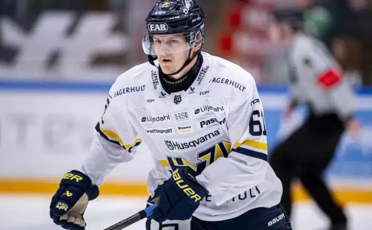 Leijona-pakki menetti hermonsa kohtalokkaasti – oliko se siinä?