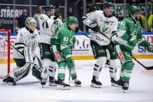 Yritti vaikuttaa tuomareihin ennen kohtalonpeliä – Leijona-tähden seura ajautui kohun pyörteisiin