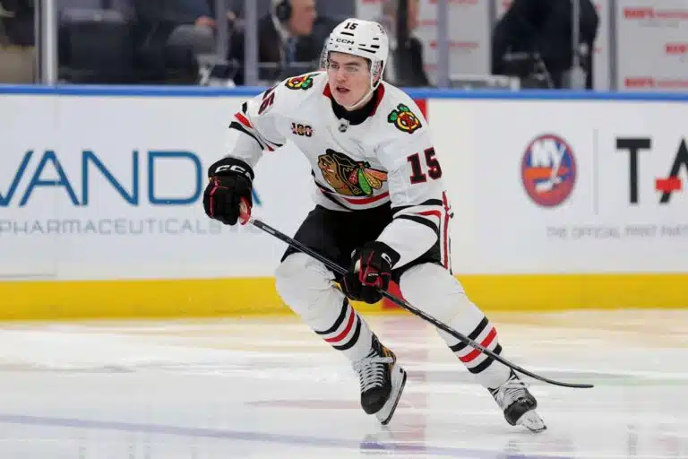 Ruotsin superlupaus on tullut ryminällä NHL:ään