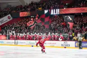 Näkökulma: Liigan pudotuspeleissä yleisöryntäys – tässä syy